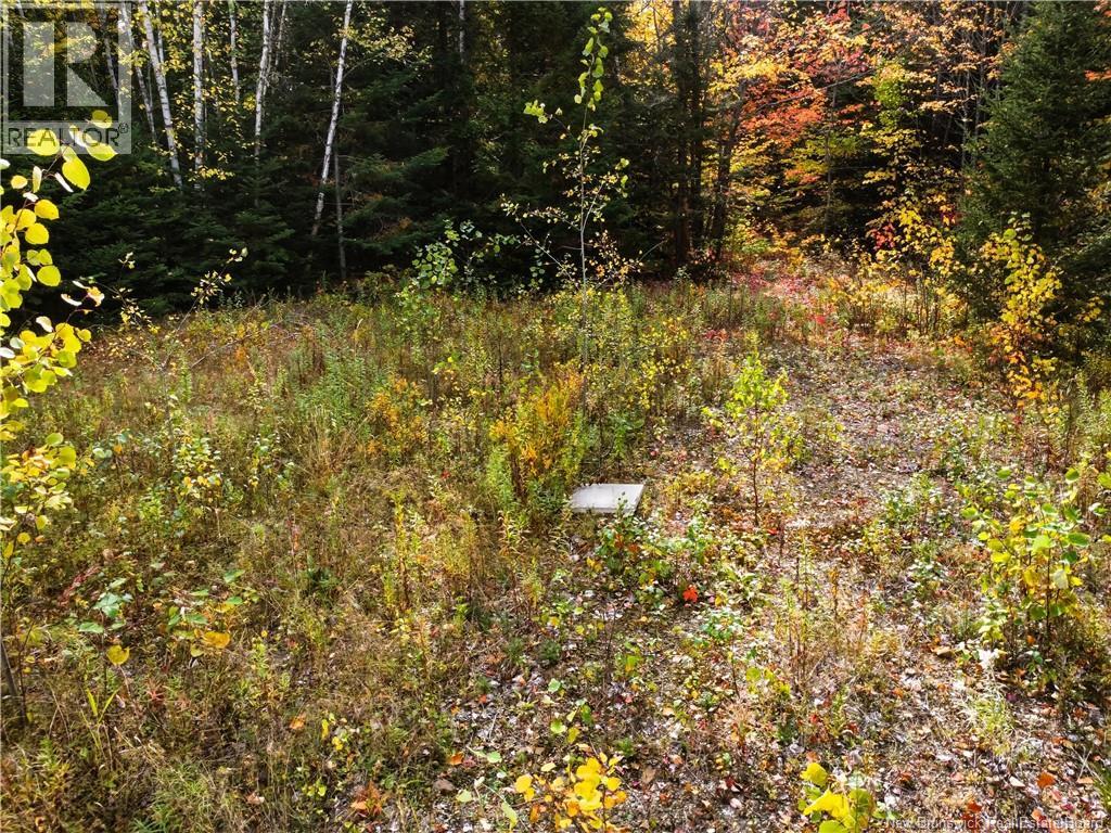 867 Pine Glen Road, Riverview, New Brunswick  E1J 1R7 - Photo 18 - NB128069