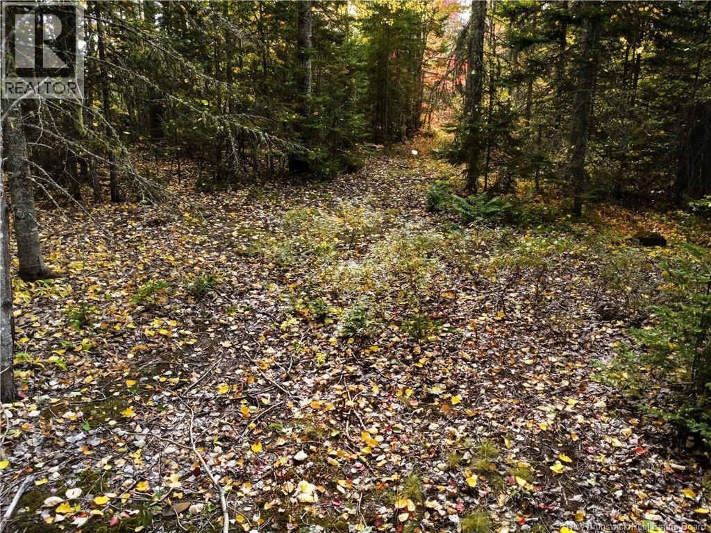 867 Pine Glen Road, Riverview, New Brunswick  E1J 1R7 - Photo 8 - NB128069