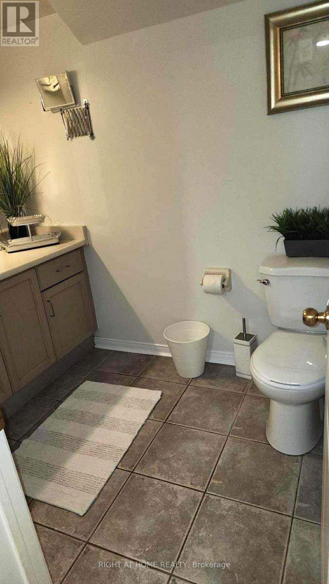 Basement - 44 Meadowlands Boulevard, Hamilton, Ontario  L9K 1H8 - Photo 13 - X12448558