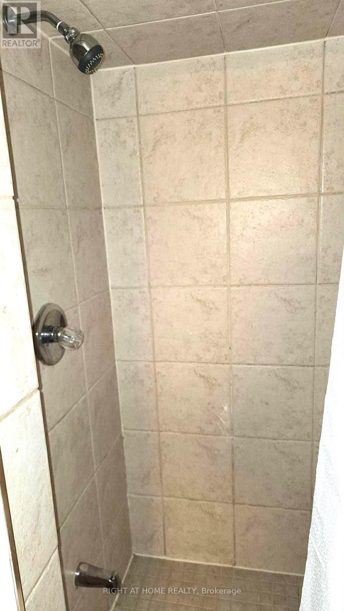 Basement - 44 Meadowlands Boulevard, Hamilton, Ontario  L9K 1H8 - Photo 18 - X12448558