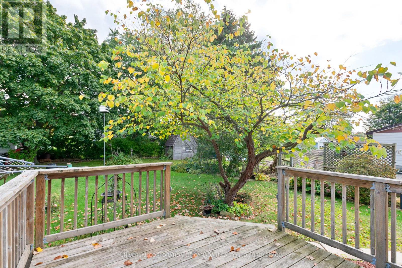 44 Shakespeare Street, Bayham, Ontario  N0J 1T0 - Photo 33 - X12448646