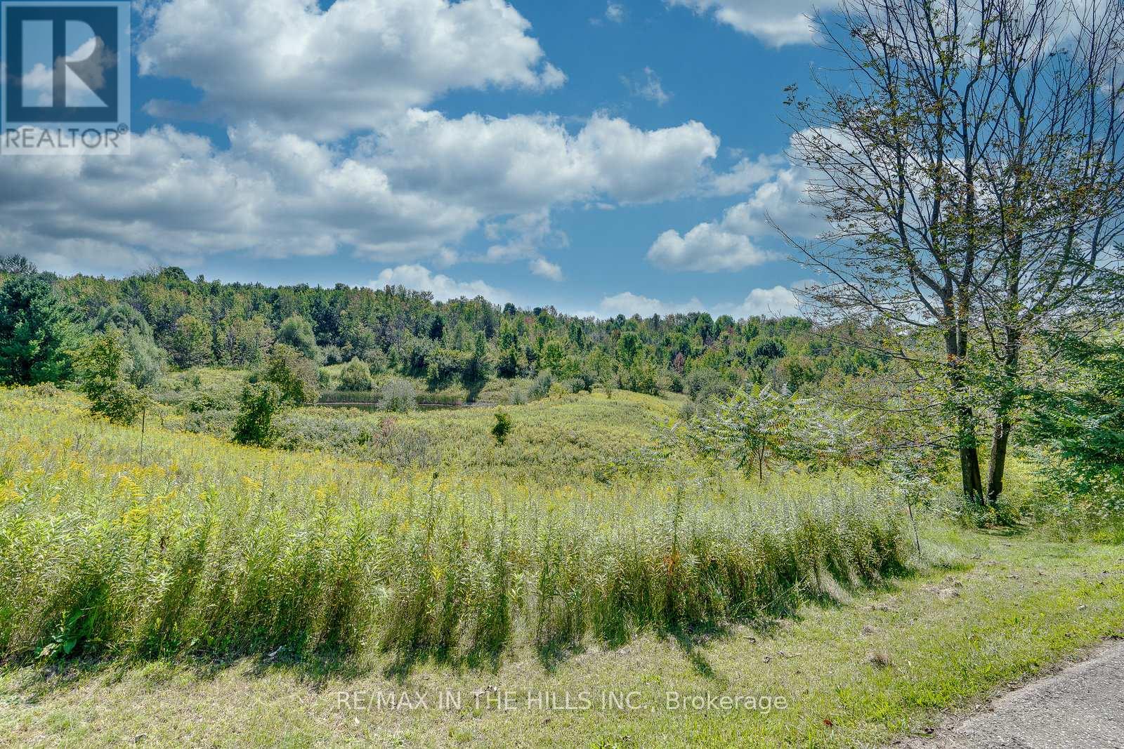 627450 15th Side Road, Mulmur, Ontario  L9V 0T7 - Photo 32 - X12448637