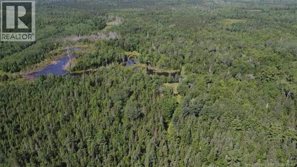 76.8 Acres Little River, Little River, New Brunswick  E2A 6M7 - Photo 5 - NB128037