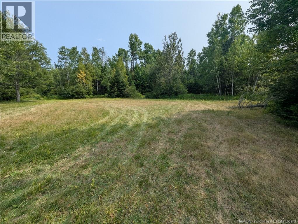 76.8 Acres Little River, Little River, New Brunswick  E2A 6M7 - Photo 4 - NB128037