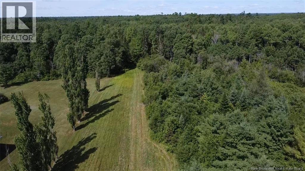 76.8 Acres Little River, Little River, New Brunswick  E2A 6M7 - Photo 8 - NB128037