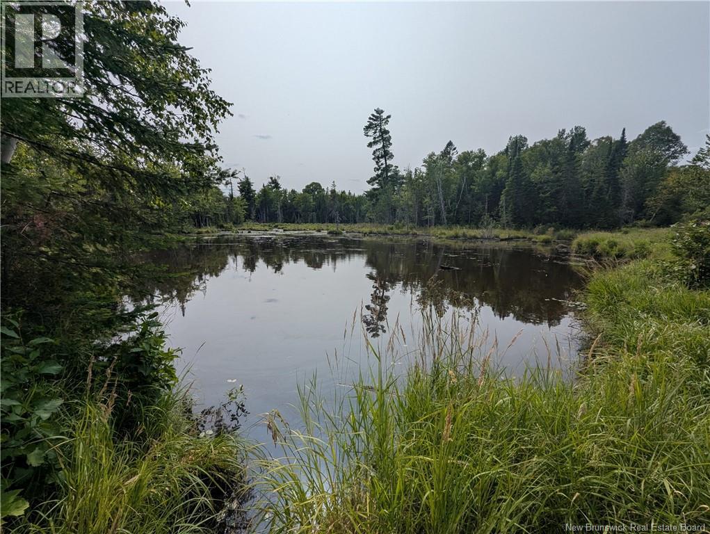 76.8 Acres Little River, Little River, New Brunswick  E2A 6M7 - Photo 2 - NB128037