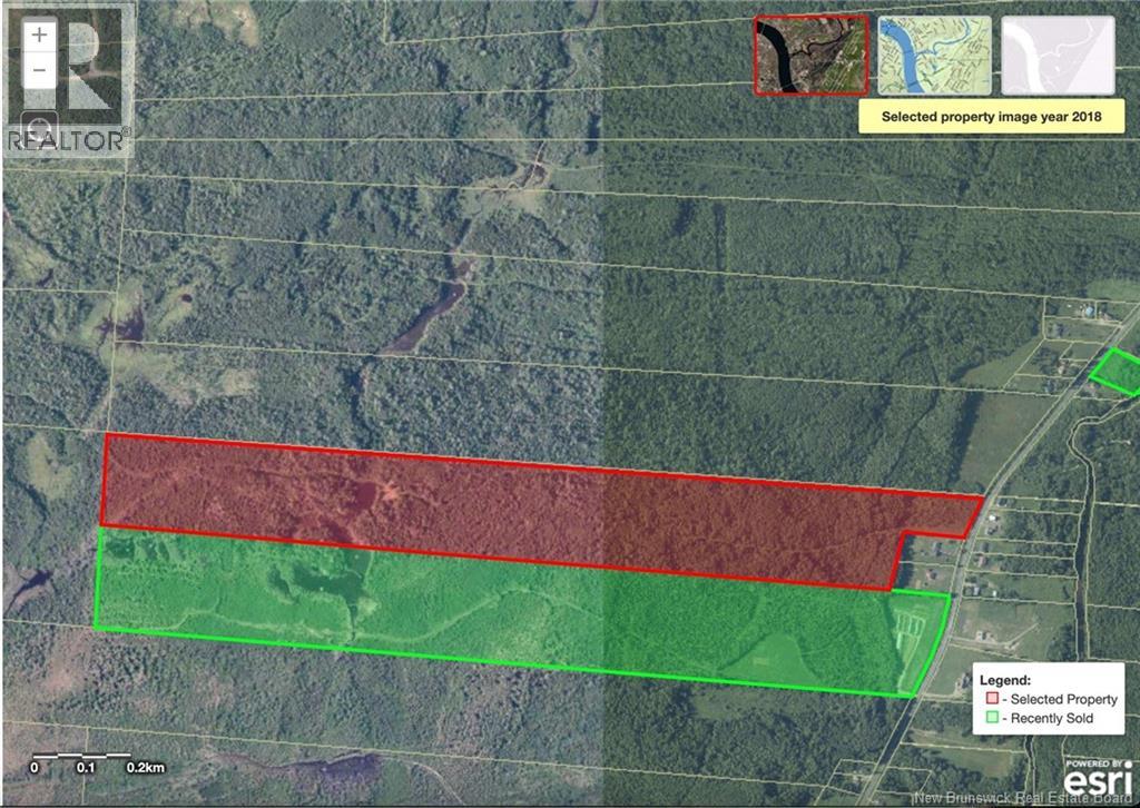 76.8 Acres Little River, Little River, New Brunswick  E2A 6M7 - Photo 6 - NB128037