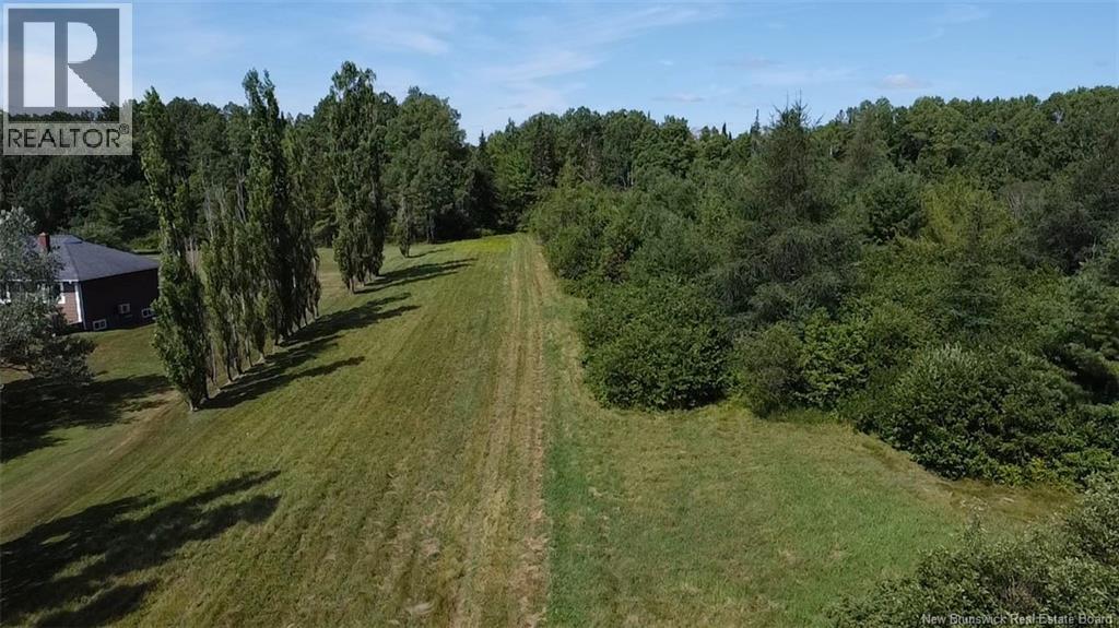 76.8 Acres Little River, Little River, New Brunswick  E2A 6M7 - Photo 9 - NB128037