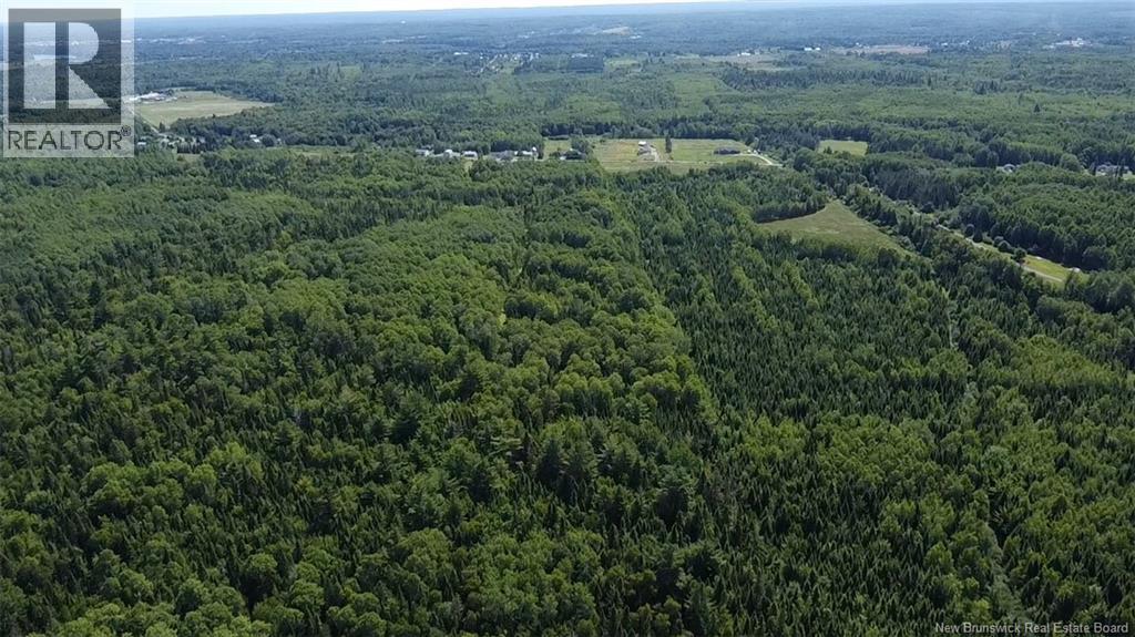 76.8 Acres Little River, Little River, New Brunswick  E2A 6M7 - Photo 10 - NB128037