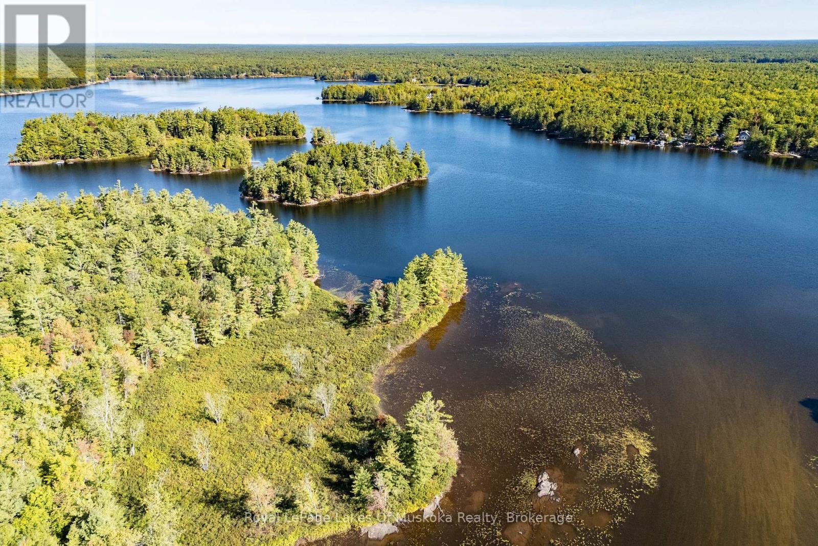 1010 Tara Lane, Gravenhurst, Ontario  P0E 1N0 - Photo 26 - X12448677
