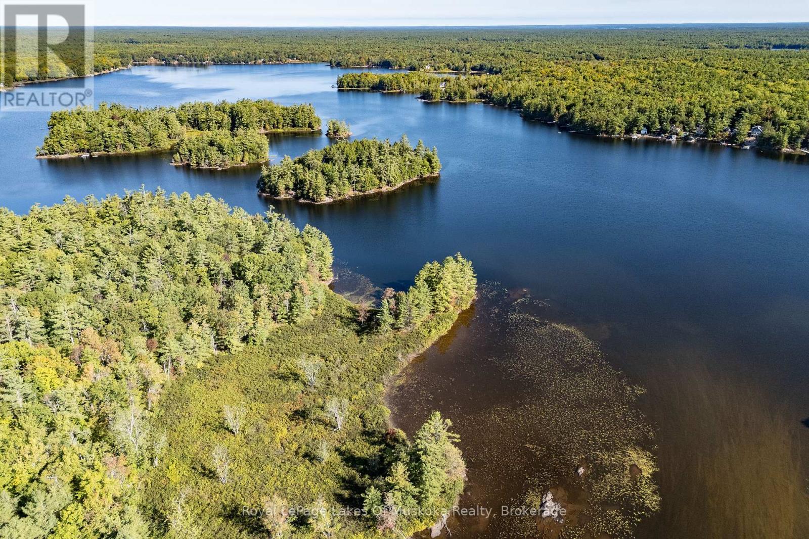 1010 Tara Lane, Gravenhurst, Ontario  P0E 1N0 - Photo 29 - X12448677