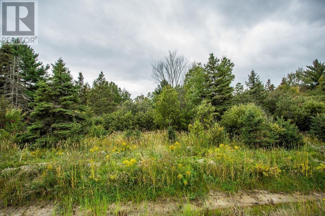 Trunk Road / Hwy 17, Huron Shores, Ontario  P0R 1L0 - Photo 18 - SM252737