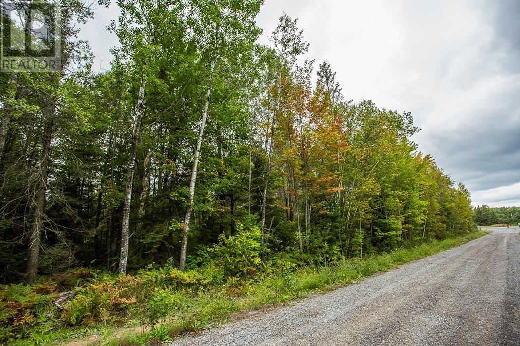 Trunk Road / Hwy 17, Huron Shores, Ontario  P0R 1L0 - Photo 23 - SM252737