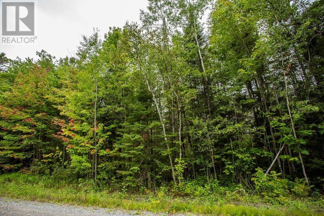Trunk Road / Hwy 17, Huron Shores, Ontario  P0R 1L0 - Photo 25 - SM252737