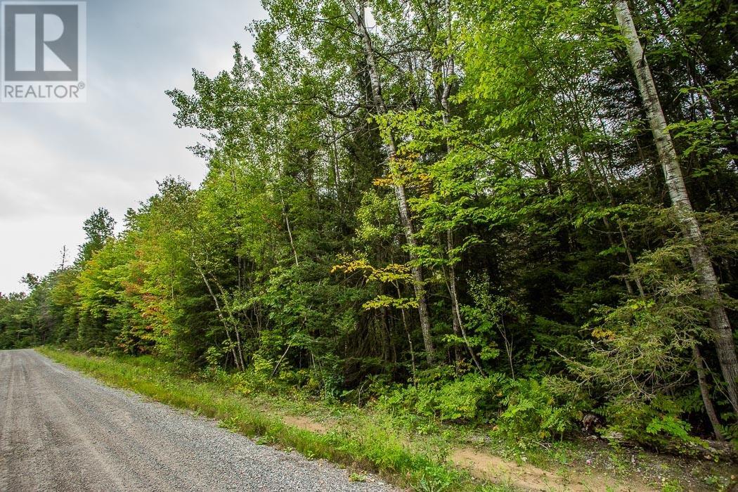 Trunk Road / Hwy 17, Huron Shores, Ontario  P0R 1L0 - Photo 24 - SM252737