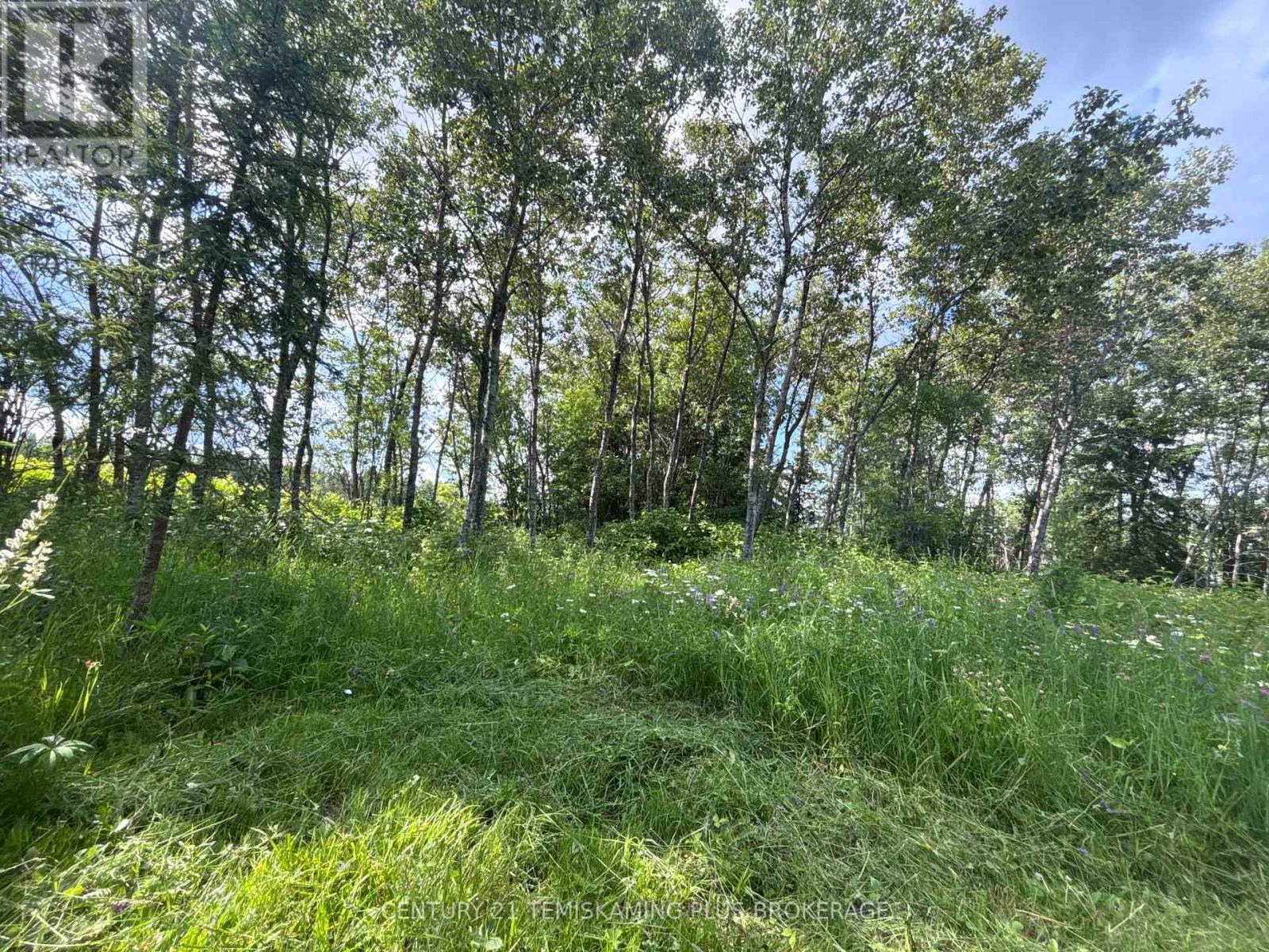 Pcl5224 Little Road, Englehart (Central Timiskaming), Ontario  P0J 1H0 - Photo 24 - T12447768