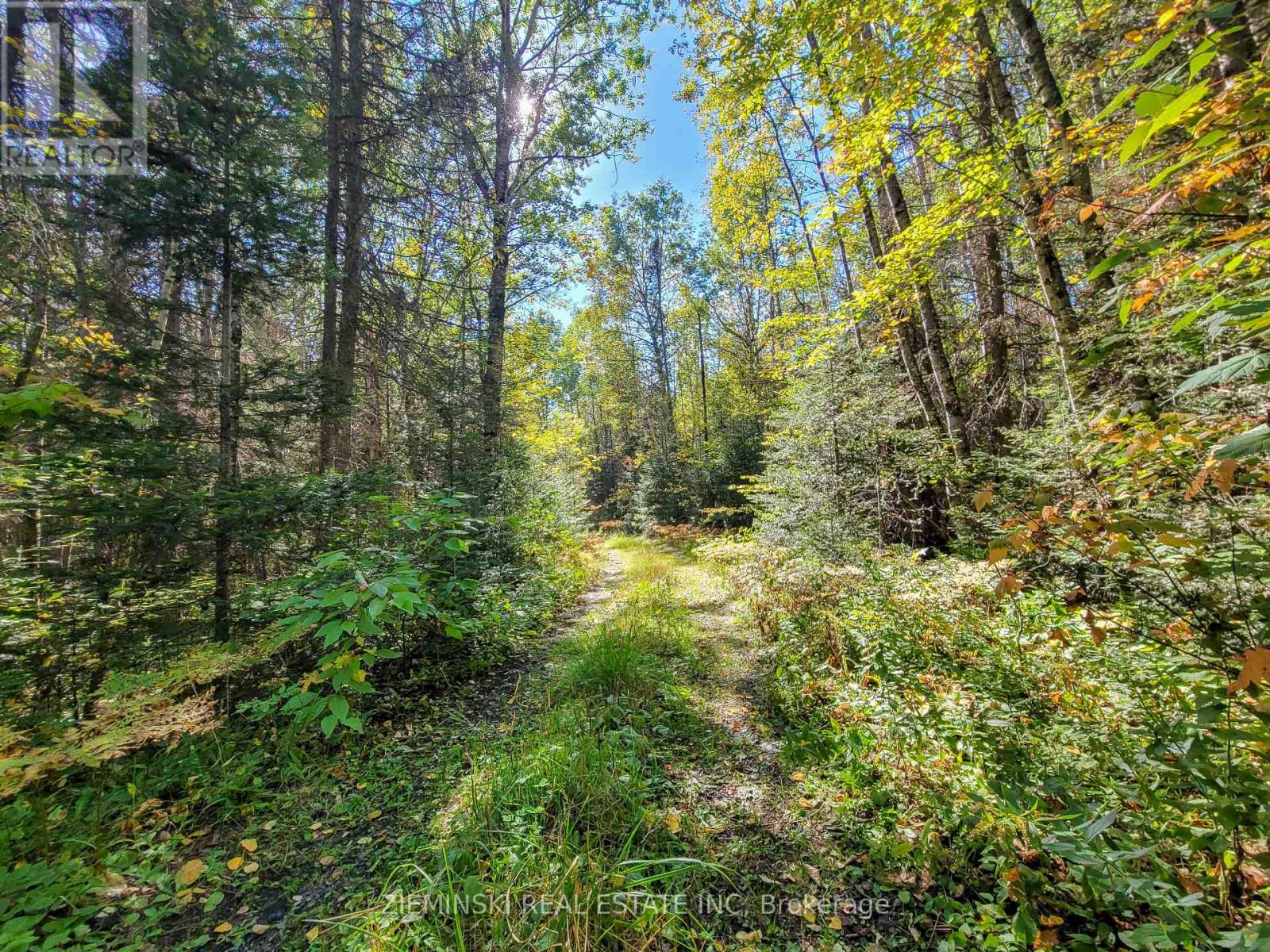 P12257 P28202 Pcl 12810sec, Timmins, Ontario  P4R 0C8 - Photo 16 - T12448953