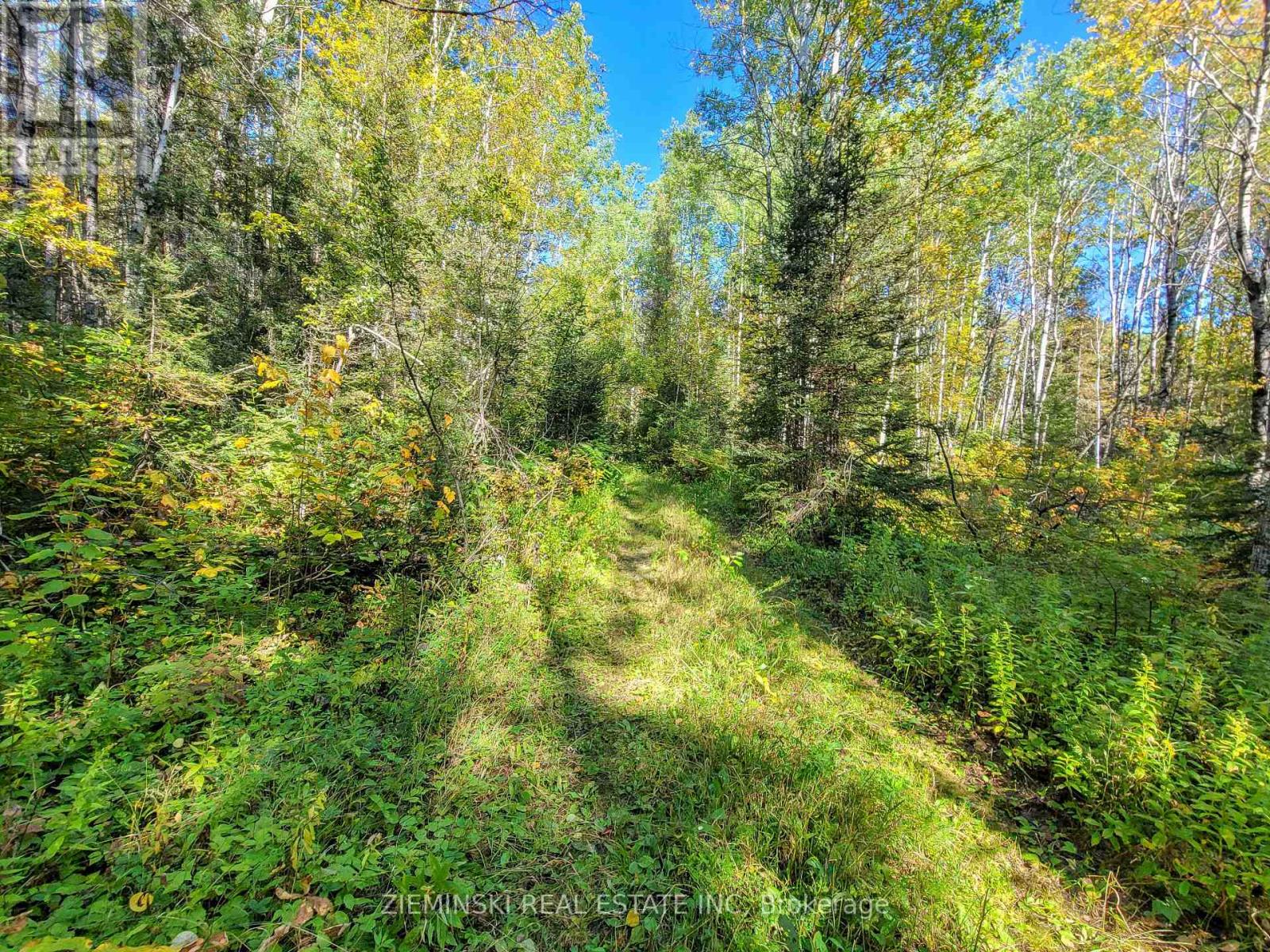 P12257 P28202 Pcl 12810sec, Timmins, Ontario  P4R 0C8 - Photo 17 - T12448953