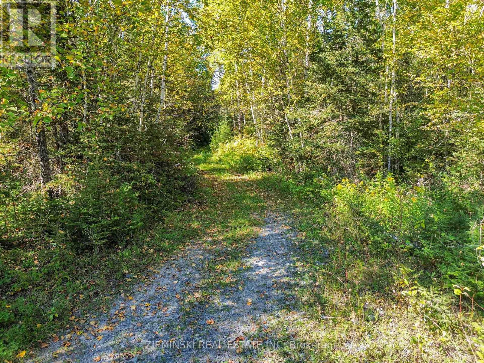 P12257 P28202 Pcl 12810sec, Timmins, Ontario  P4R 0C8 - Photo 18 - T12448953