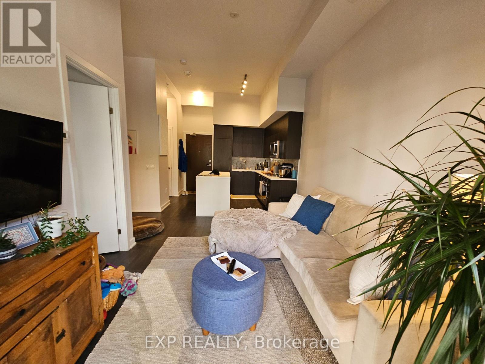 205 - 38 Iannuzzi Street, Toronto, Ontario  M5V 0S2 - Photo 6 - C12448865