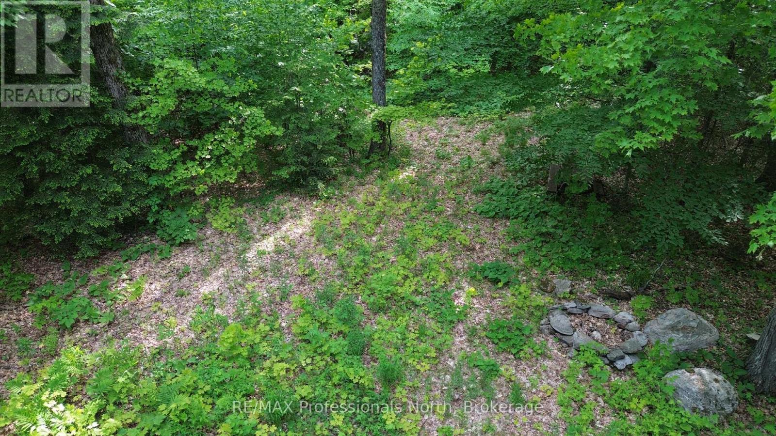 1012 Betula Crescent, Dysart Et Al (Harcourt), Ontario  K0L 1M1 - Photo 10 - X12448928