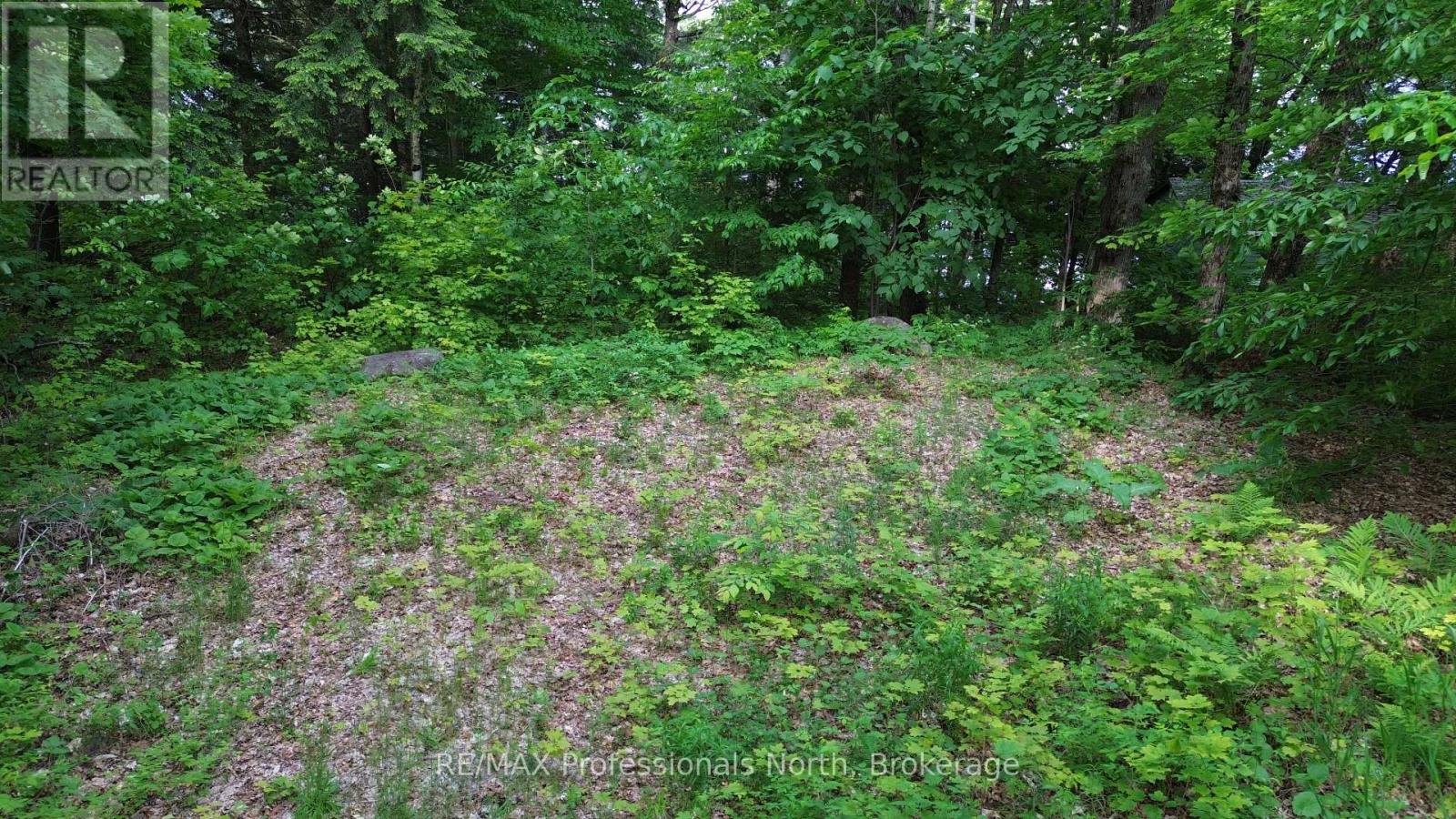 1012 Betula Crescent, Dysart Et Al (Harcourt), Ontario  K0L 1M1 - Photo 11 - X12448928