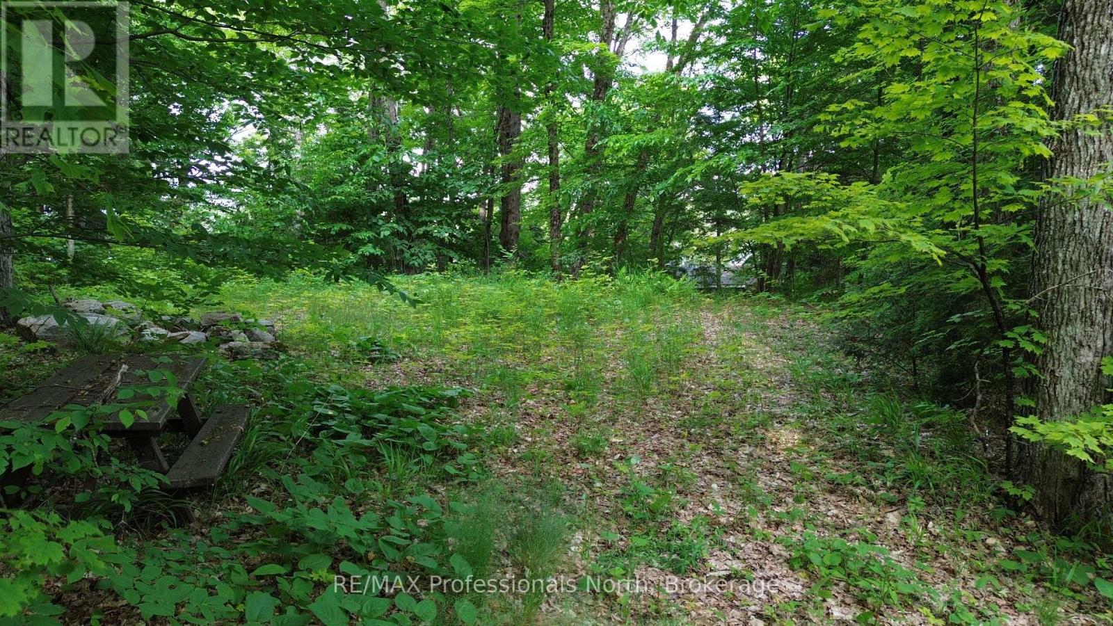 1012 Betula Crescent, Dysart Et Al (Harcourt), Ontario  K0L 1M1 - Photo 12 - X12448928