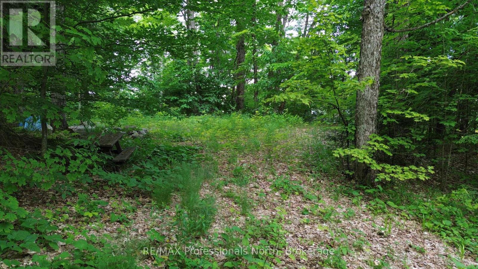 1012 Betula Crescent, Dysart Et Al (Harcourt), Ontario  K0L 1M1 - Photo 13 - X12448928