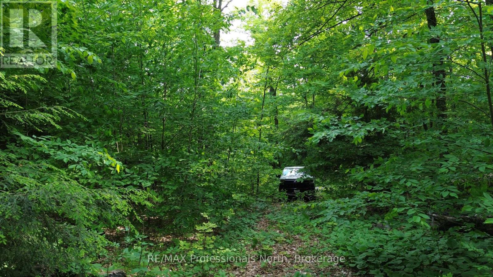 1012 Betula Crescent, Dysart Et Al (Harcourt), Ontario  K0L 1M1 - Photo 14 - X12448928