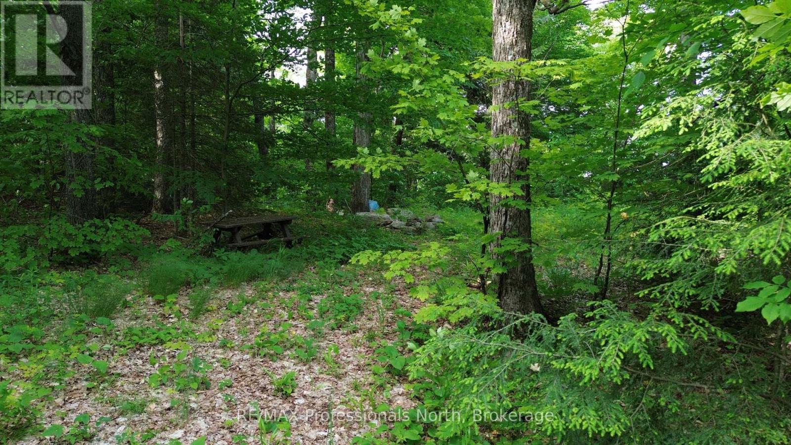 1012 Betula Crescent, Dysart Et Al (Harcourt), Ontario  K0L 1M1 - Photo 2 - X12448928