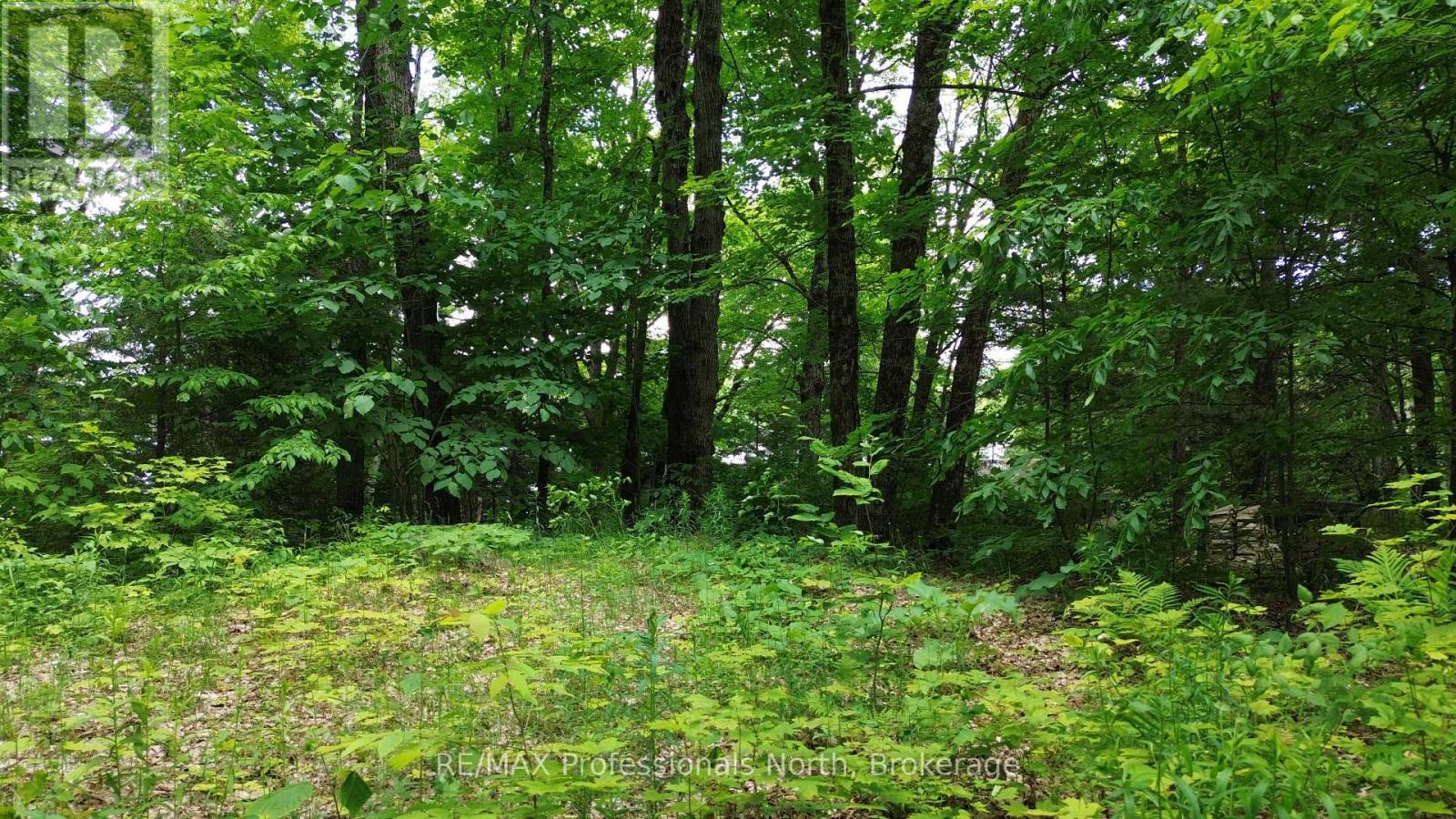 1012 Betula Crescent, Dysart Et Al (Harcourt), Ontario  K0L 1M1 - Photo 3 - X12448928