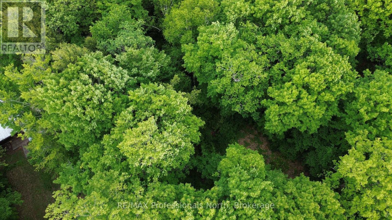 1012 Betula Crescent, Dysart Et Al (Harcourt), Ontario  K0L 1M1 - Photo 7 - X12448928