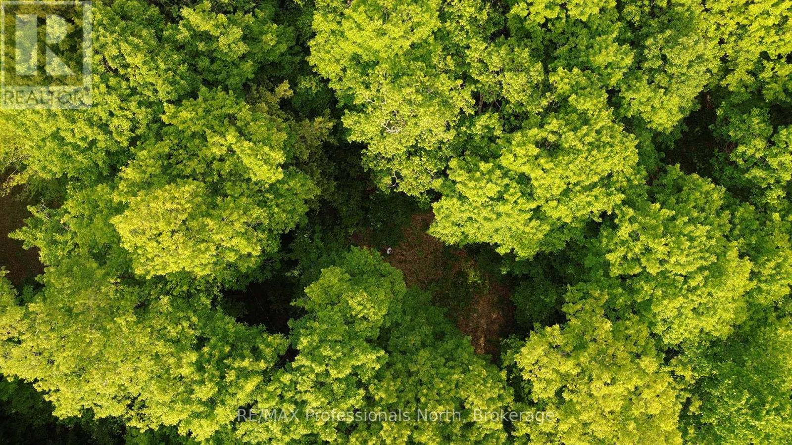 1012 Betula Crescent, Dysart Et Al (Harcourt), Ontario  K0L 1M1 - Photo 9 - X12448928