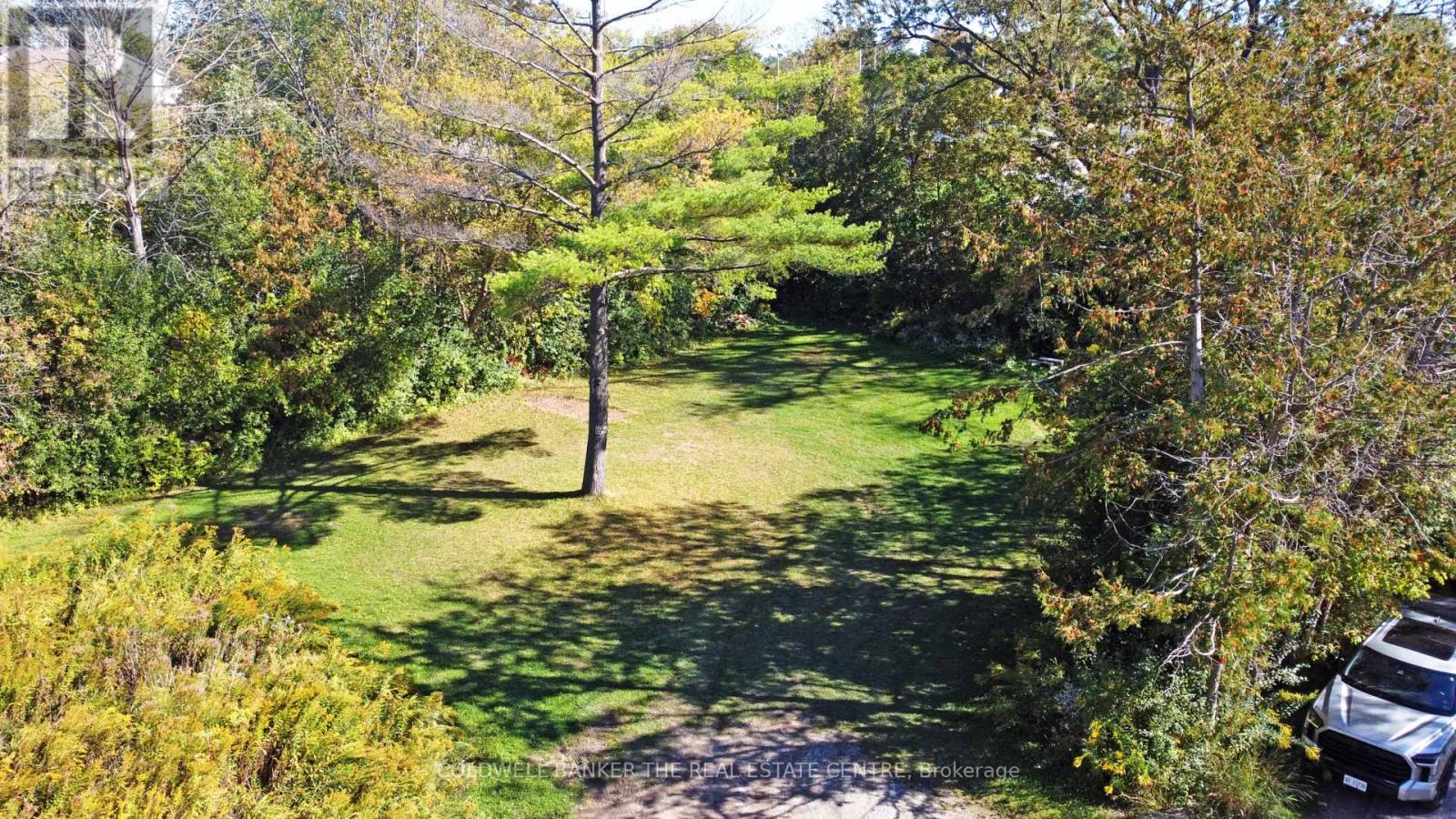 187 Mary Street, Newmarket (Gorham-College Manor), Ontario  L3Y 3P9 - Photo 10 - N12448752