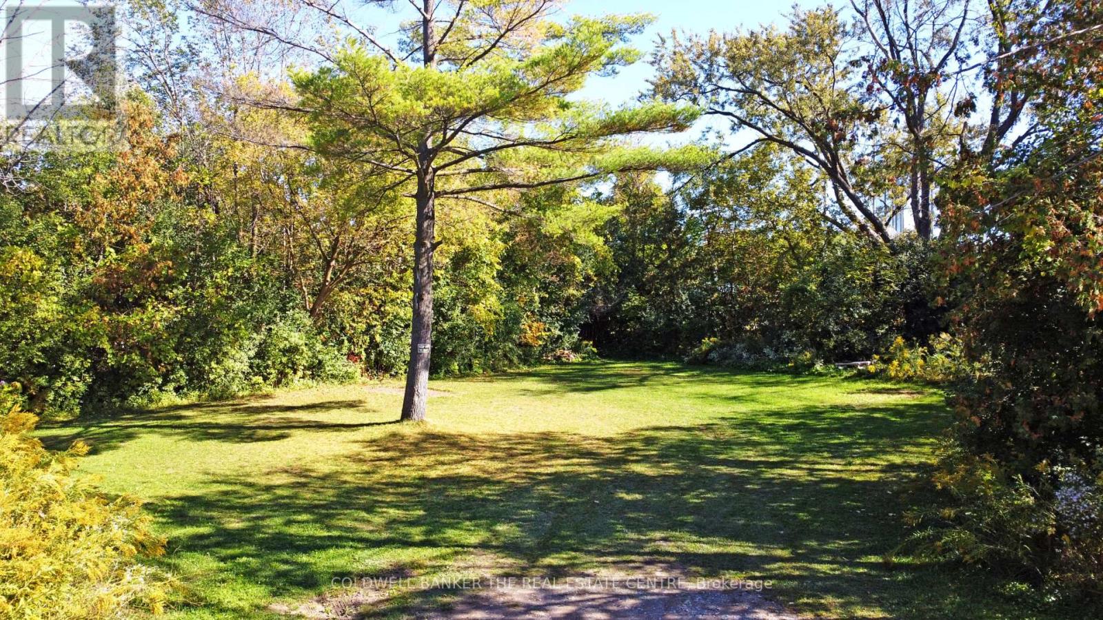 187 Mary Street, Newmarket (Gorham-College Manor), Ontario  L3Y 3P9 - Photo 11 - N12448752