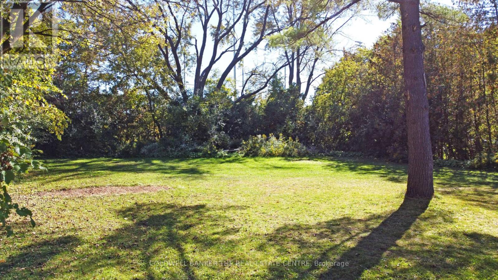 187 Mary Street, Newmarket (Gorham-College Manor), Ontario  L3Y 3P9 - Photo 12 - N12448752