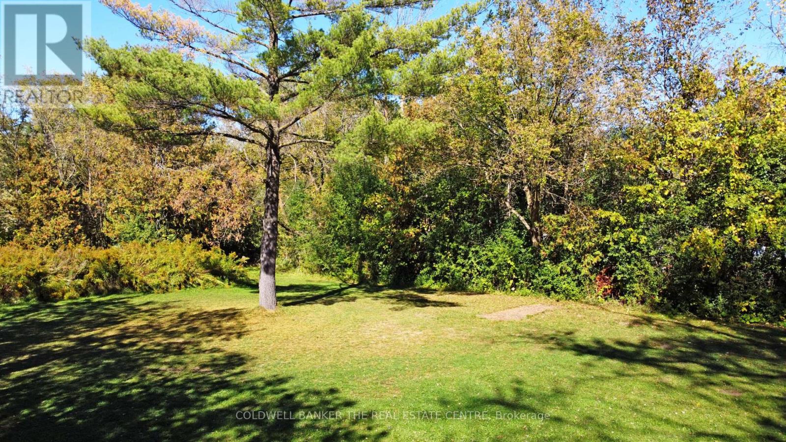 187 Mary Street, Newmarket (Gorham-College Manor), Ontario  L3Y 3P9 - Photo 13 - N12448752