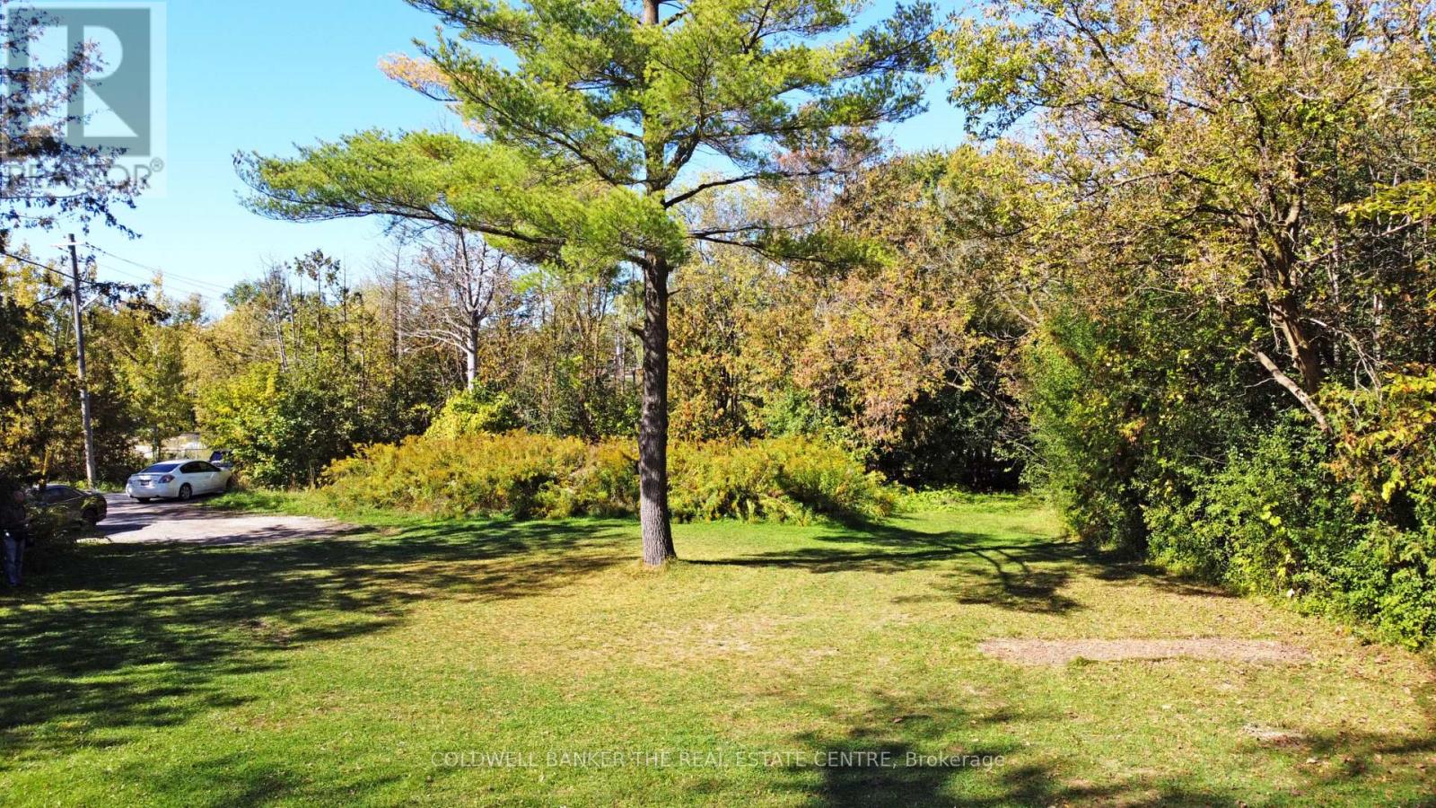 187 Mary Street, Newmarket (Gorham-College Manor), Ontario  L3Y 3P9 - Photo 14 - N12448752