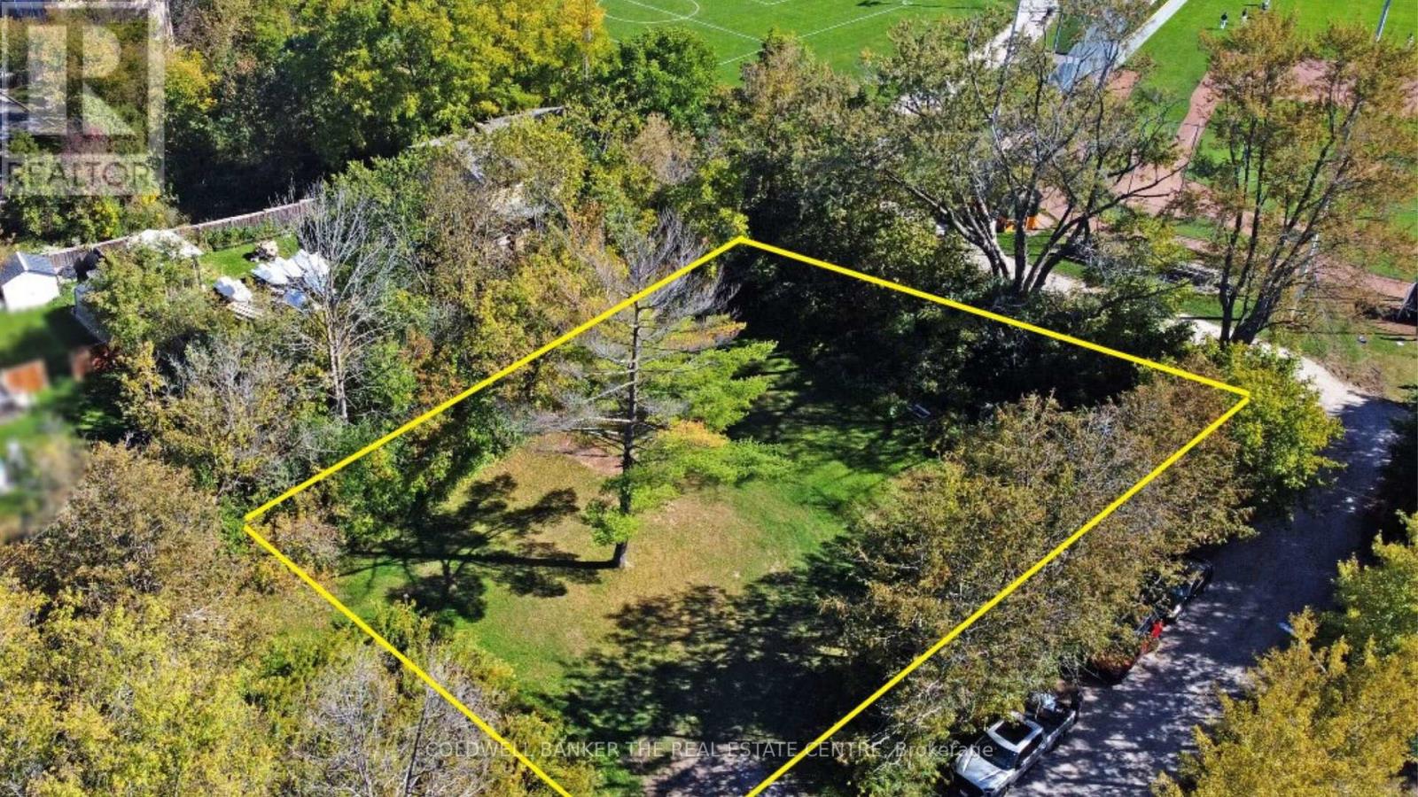 187 Mary Street, Newmarket (Gorham-College Manor), Ontario  L3Y 3P9 - Photo 7 - N12448752