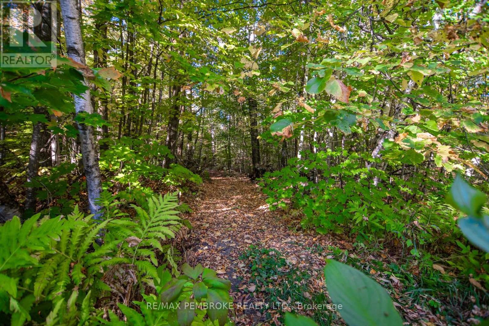 2617 Snake River Line, Laurentian Valley, Ontario  K0J 1K0 - Photo 37 - X12448951