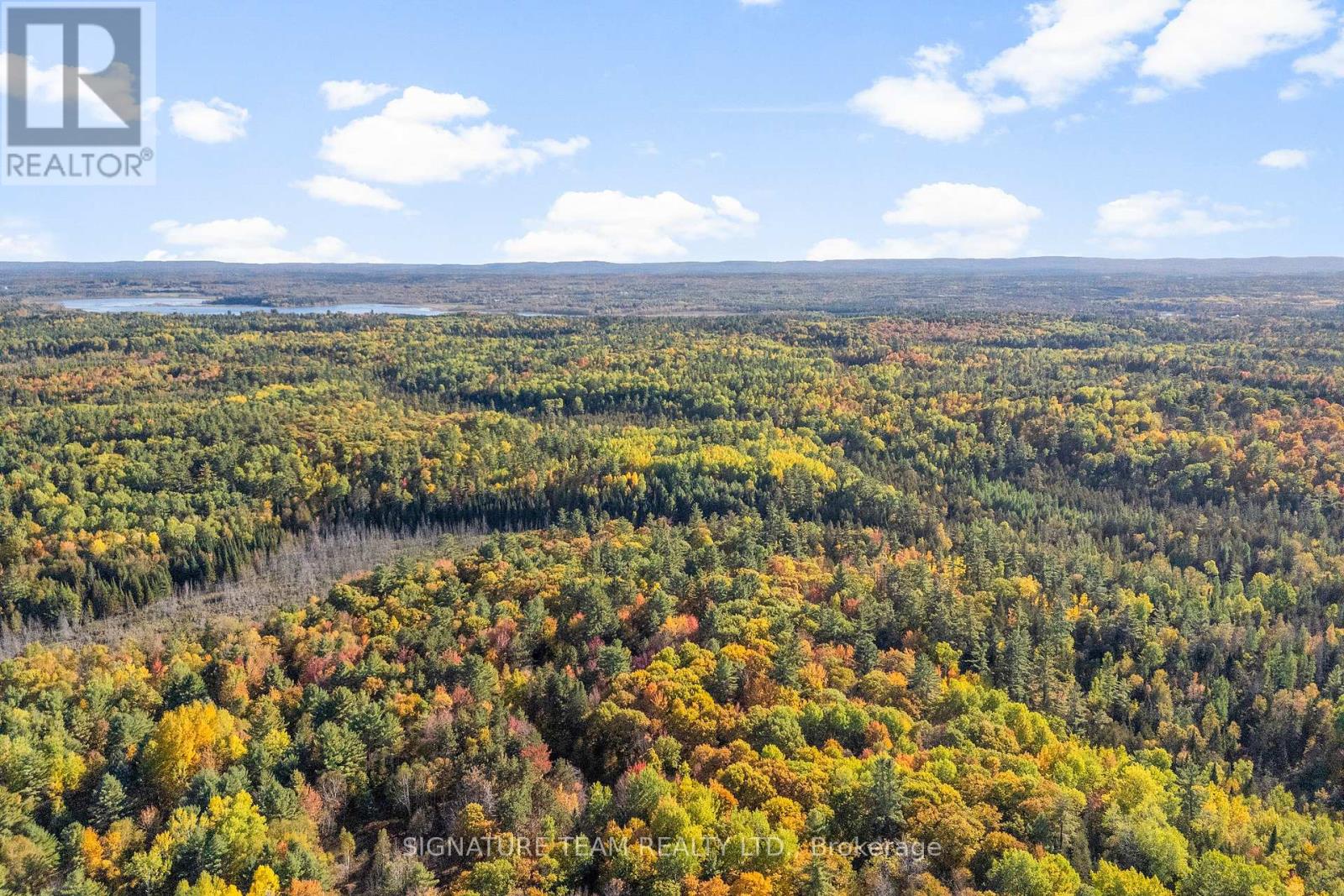 455 Passaw Road, North Algona Wilberforce, Ontario  K0J 1T0 - Photo 12 - X12448981