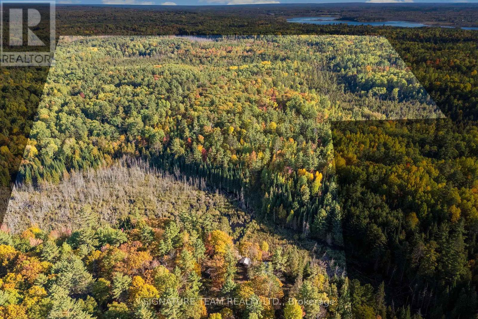 455 Passaw Road, North Algona Wilberforce, Ontario  K0J 1T0 - Photo 4 - X12448981