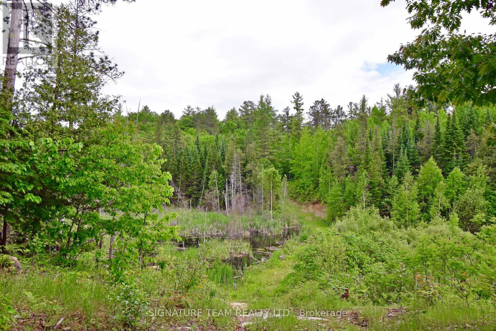 455 Passaw Road, North Algona Wilberforce, Ontario  K0J 1T0 - Photo 9 - X12448981