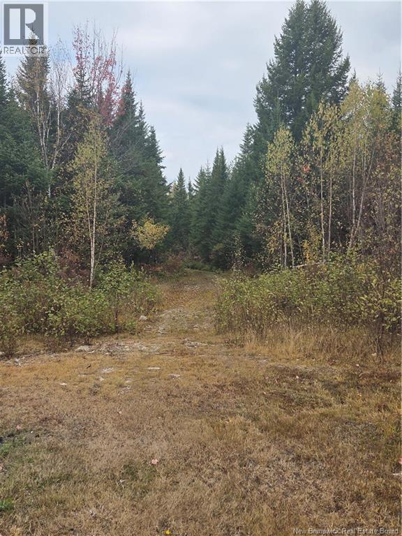 000 Kingsley Rd, Estey's Bridge, New Brunswick  E3A 6G2 - Photo 10 - NB127977
