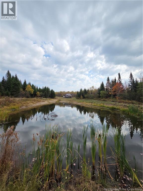 000 Kingsley Rd, Estey's Bridge, New Brunswick  E3A 6G2 - Photo 6 - NB127977