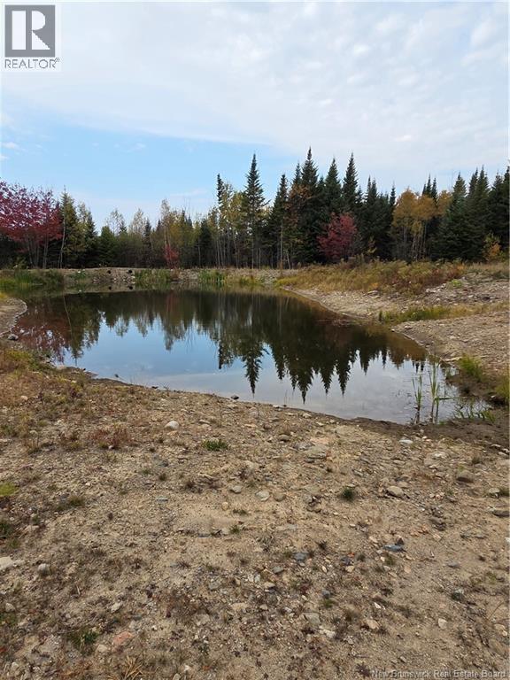 000 Kingsley Rd, Estey's Bridge, New Brunswick  E3A 6G2 - Photo 9 - NB127977