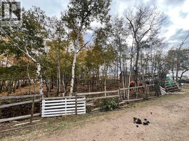 12229 Twp Rd 484, Rural Beaver County, Alberta  T0B 4N0 - Photo 13 - A2262675