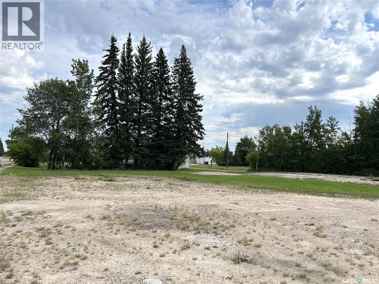 100-103 Main Street E, Dorintosh, Saskatchewan  S0M 0T0 - Photo 1 - SK018164