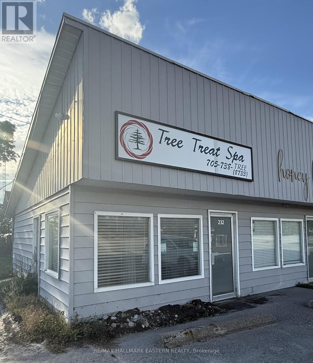 232 Main Street, Kawartha Lakes, Ontario  K0M 1A0 - Photo 1 - X12449400