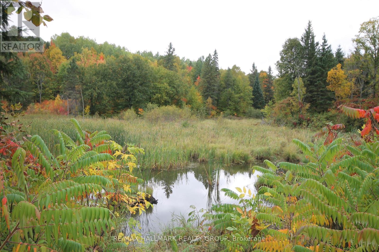 4 Mineview Road, Whitewater Region, Ontario  K0J 1Y0 - Photo 39 - X12449448